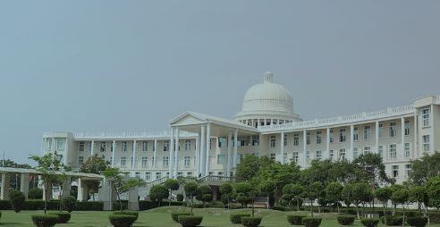 Noida International University